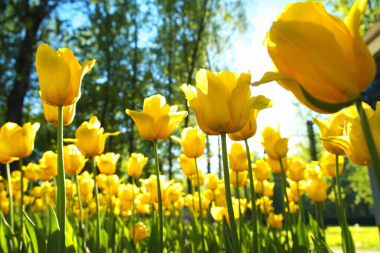 Spring - it never felt so good!