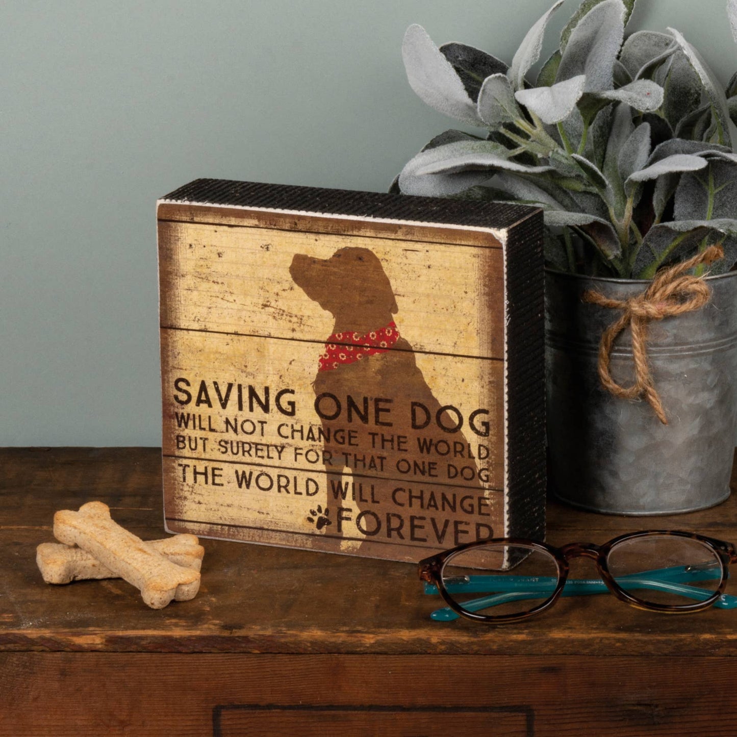 Saving One Dog Will Not Save The World Box Sign