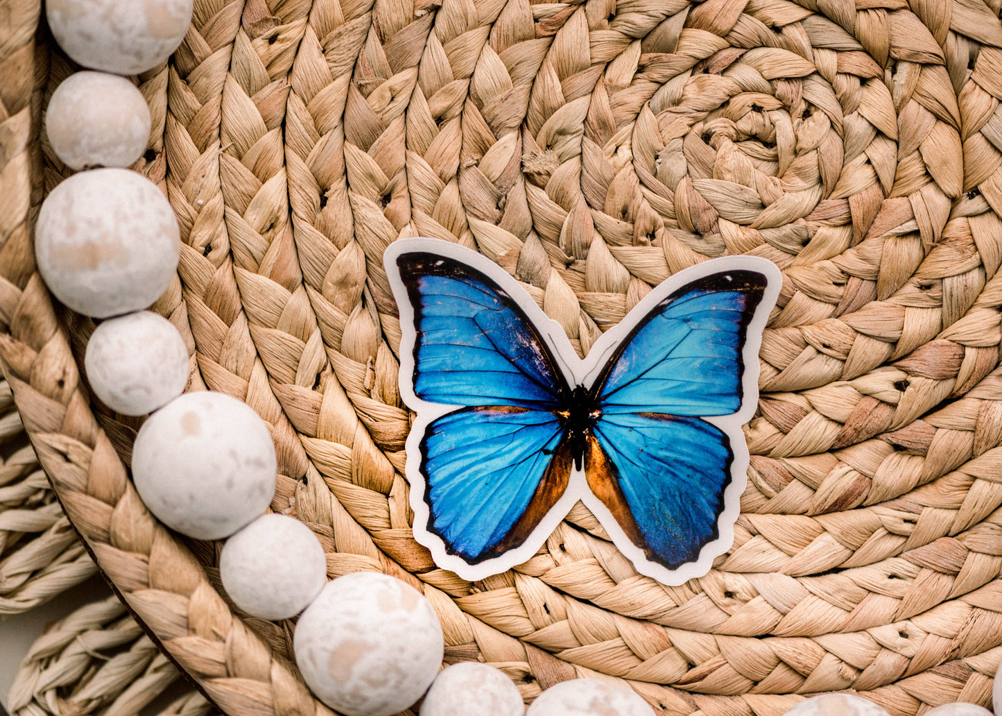 Blue Butterfly Clear, Vinyl Sticker, 3x3 in.