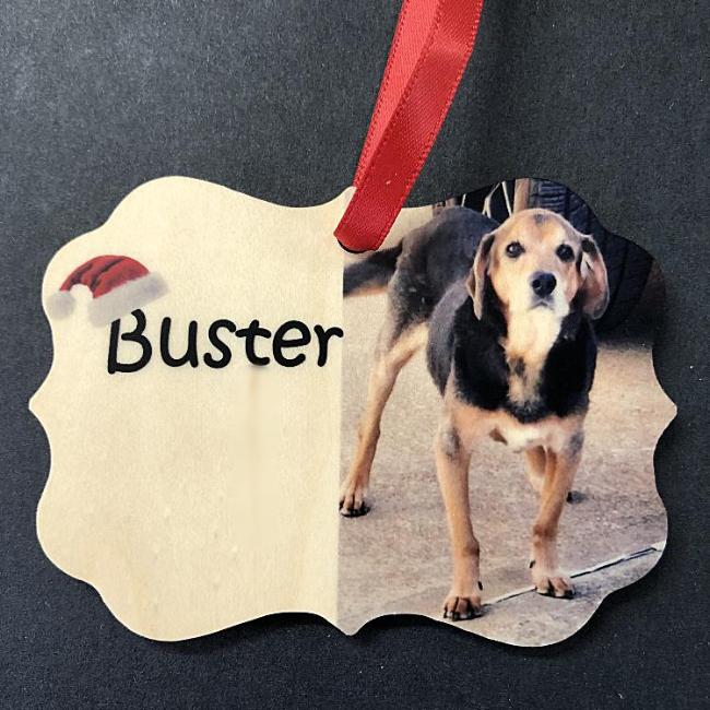 Custom Pet Picture Christmas Ornament Dog Lovers Ornament with Photo of Man's Best Friend. In Loving Memory Dog Christmas Ornament | Enchanted MemoriesCustom Pet Picture Christmas Ornament Dog Lovers Ornament with Photo of Man's Best Friend. In Loving Memory Dog Christmas Ornamet