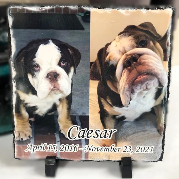 Pet Memorial Photo Slate Plaque