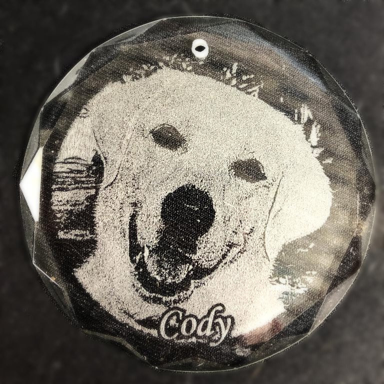 Engraved Crystal Pet Photo Christmas Ornament, etched with your favorite picture of your pet | Enchanted Memories, Engraving