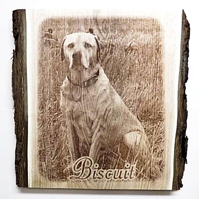Photo engraved dog photo memorial plaque etched with your favorite photo of your furbaby.