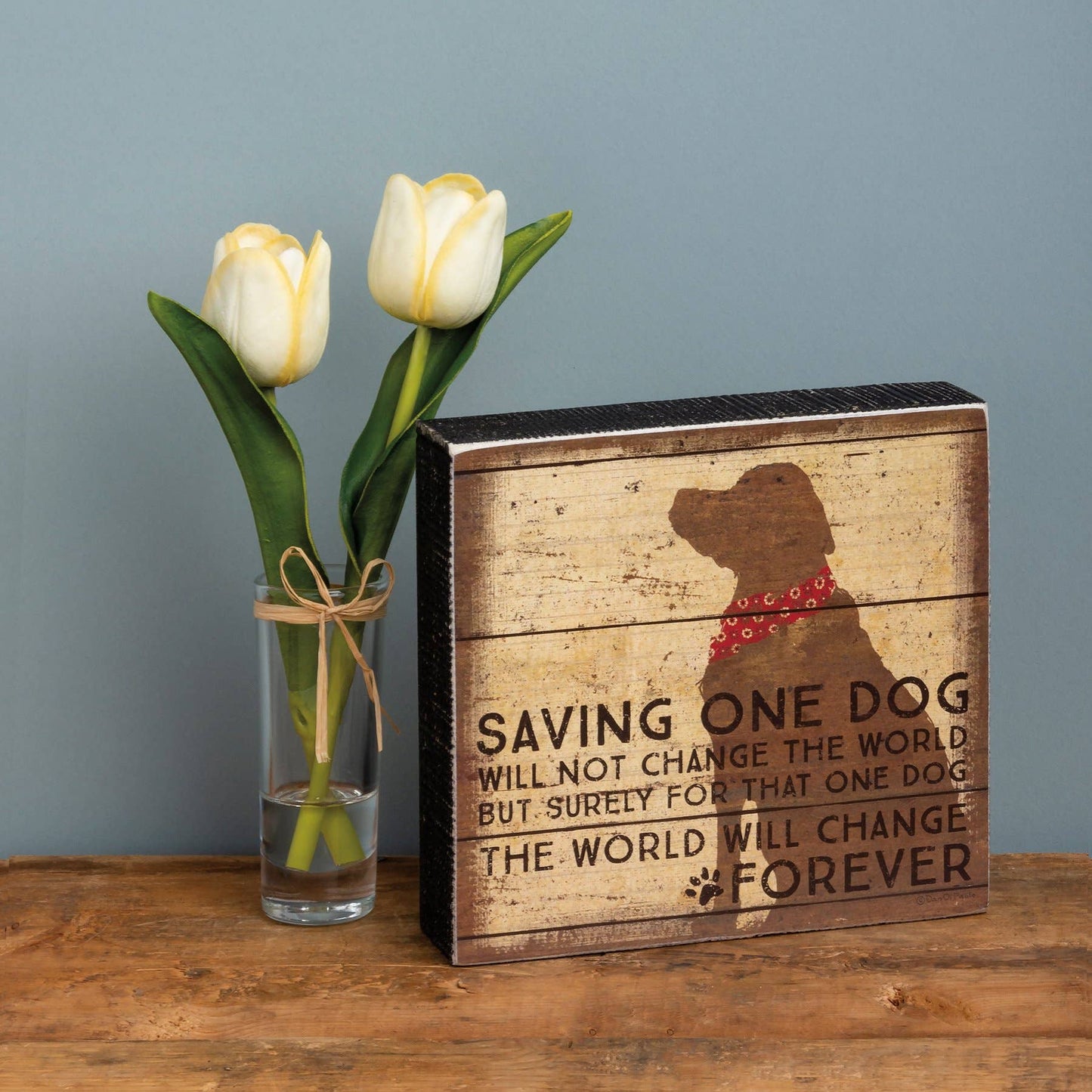 Saving One Dog Will Not Save The World Box Sign