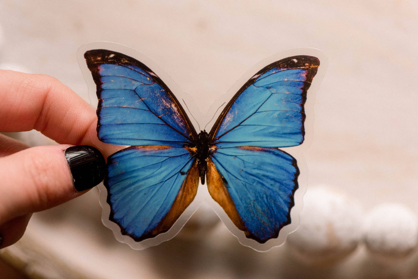 Blue Butterfly Clear, Vinyl Sticker, 3x3 in.