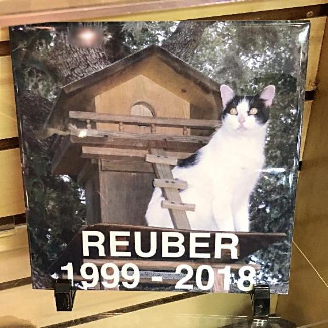 Custom Photo Ceramic Tile With Picture of my own pet in loving memory keepsake sympathy gift | Enchanted Memories, Custom Engraving & Unique Gifts