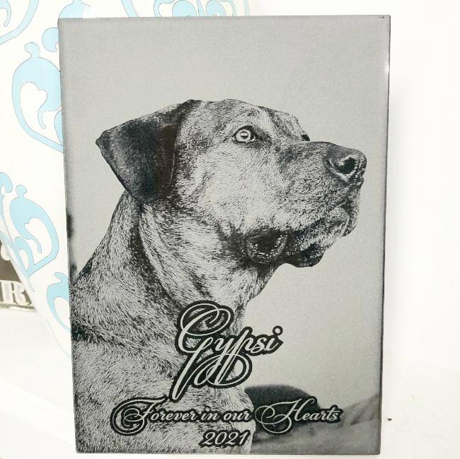 Pet Memorial Plaque with photo in marble. Engraved picture for beloved dog, cat, or other much loved pet.