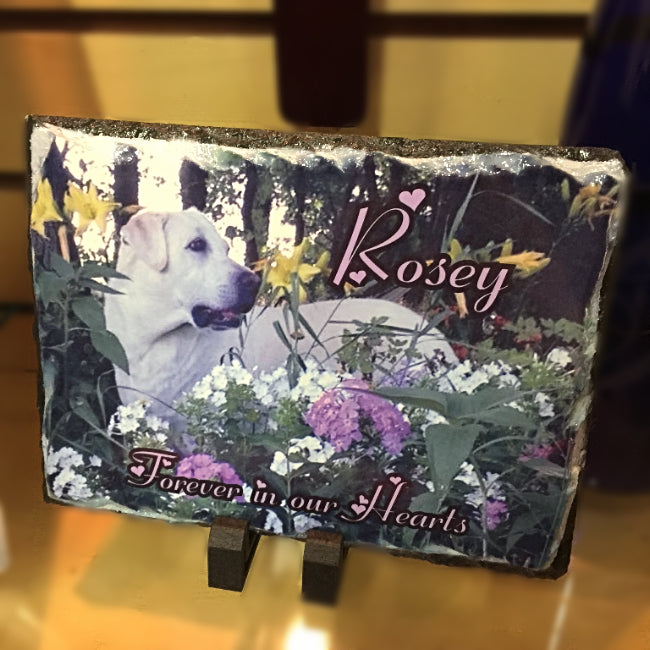 Pet Memorial Photo Slate Plaque in Loving Memory Animal Sympathy Gift - Enchanted Memories, Custom Engraving & Unique Gifts