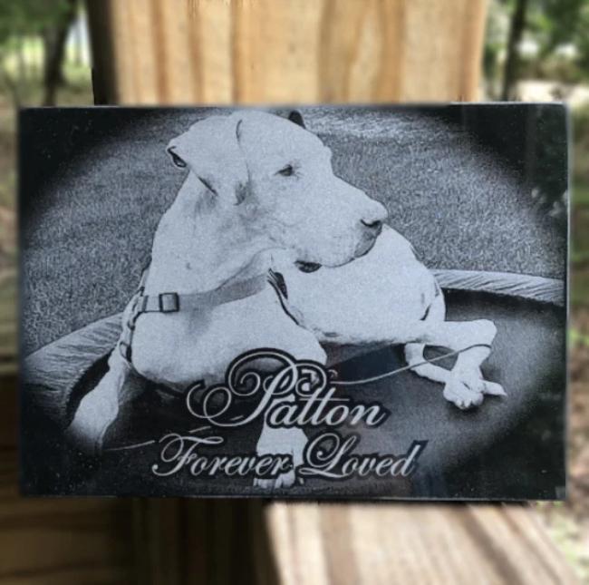 Pet Memorial Plaque with photo in marble. Engraved picture for beloved dog, cat, or other much loved pet. 