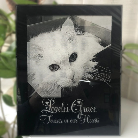 Personalized Cat Photo Memorial Cat Sympathy Gift with Picture Cat Loss Plaque | Enchanted Memories, Custom Engraving & Unique Gifts