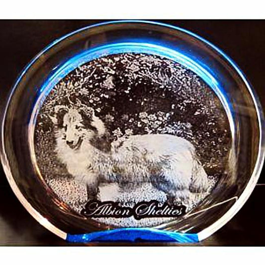 Personalized Etched Pet Photo Gift for Dog Lovers | Enchanted Memories, Custom Engraving & Unique Gifts